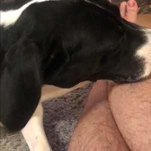 Meet your Posher, Cole